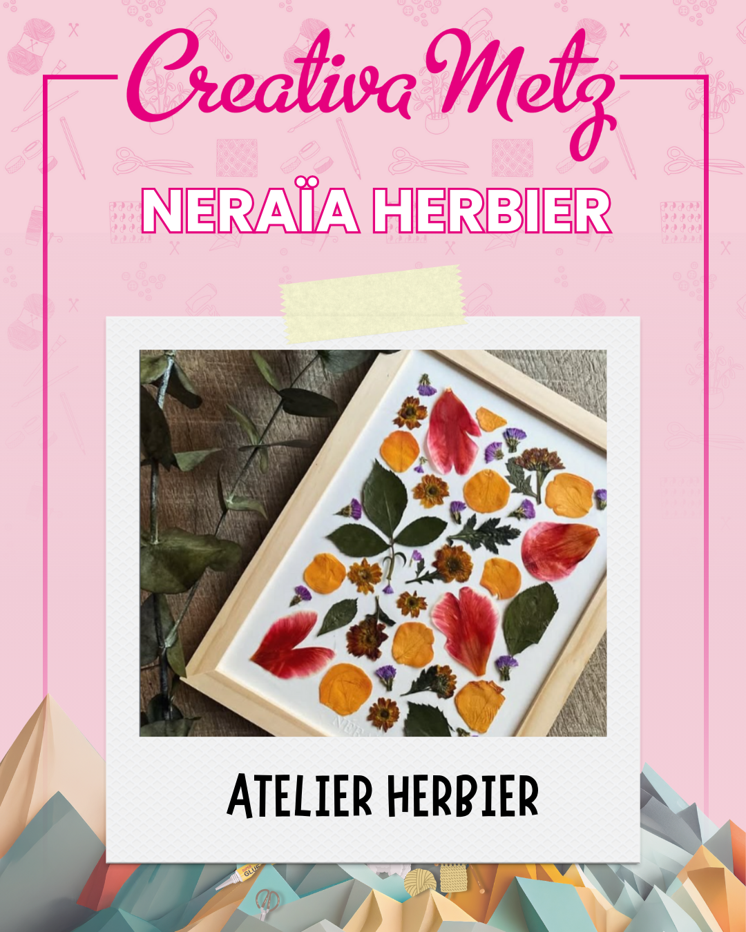 Neraia herbier — Atelier herbier
