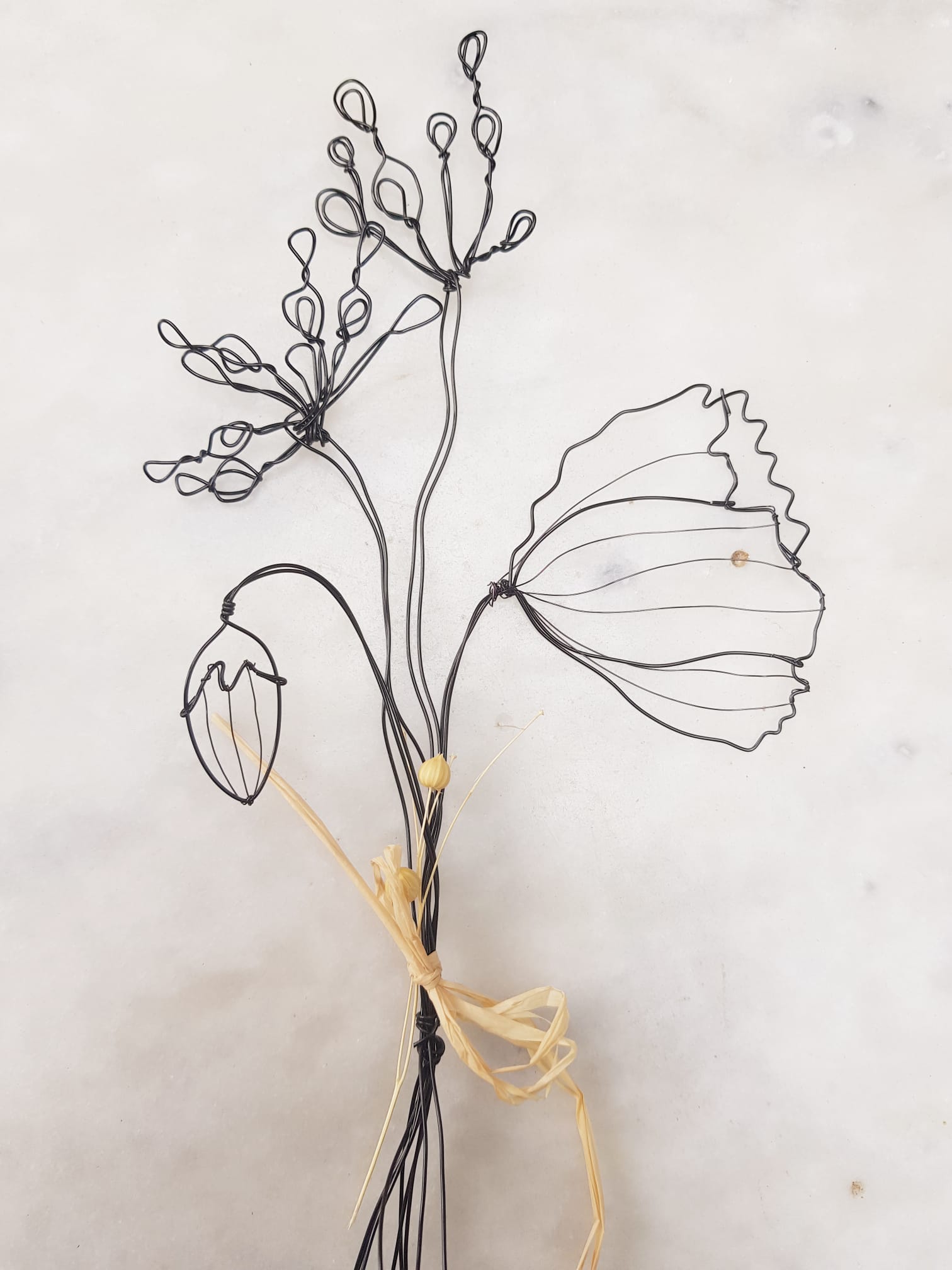 O fil des rêveries de Nana